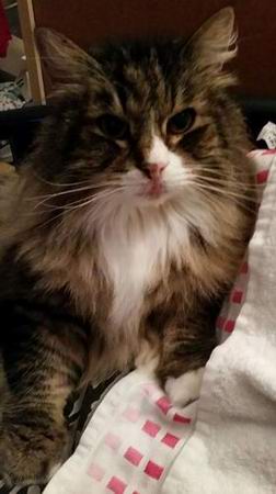 copyright: Fam. Nothbaum