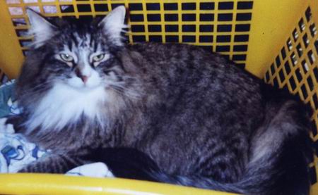 copyright: Fam. Nothbaum