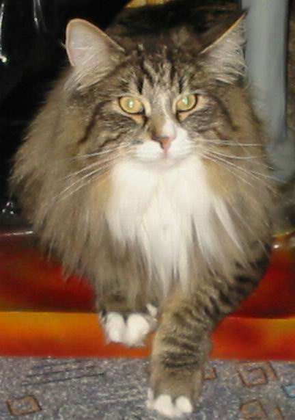 copyright: Fam. Nothbaum