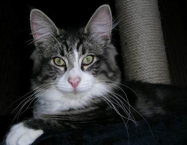 copyright: Fam. Nothbaum