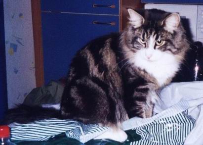 copyright: Fam. Nothbaum