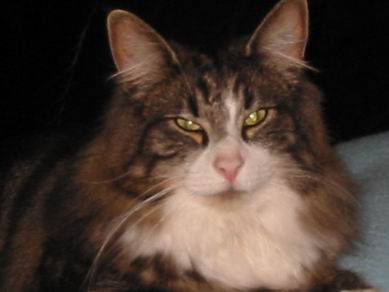 copyright: Fam. Nothbaum