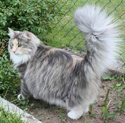 copyright: Karin Ortiz