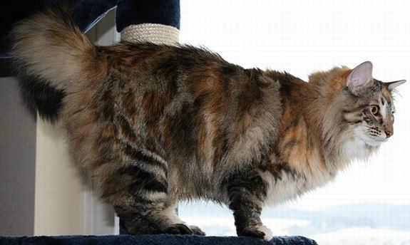 copyright: Karin Ortiz