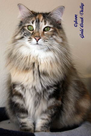 copyright: Karin Ortiz