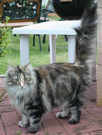 copyright: Karin Ortiz