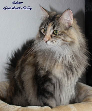 copyright: Karin Ortiz