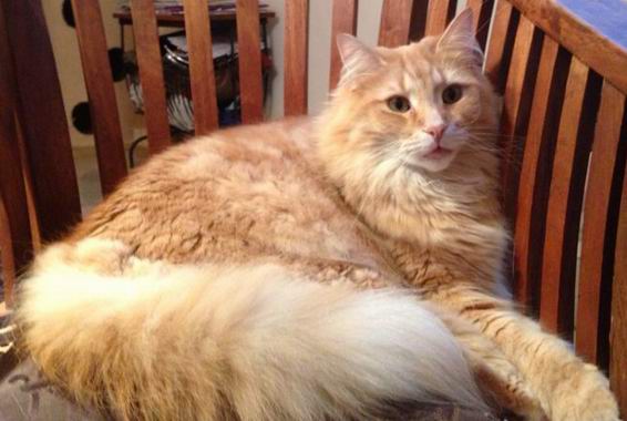 copyright: Familie Nonn