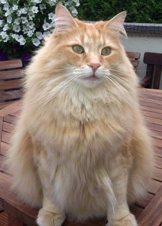 copyright: Familie Nonn