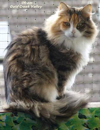 copyright: Karin Ortiz