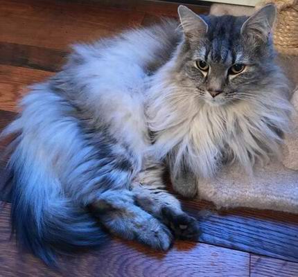 copyright: Tim & Janine