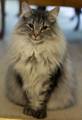 copyright: Tim & Janine