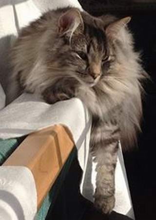 copyright: Tim & Janine