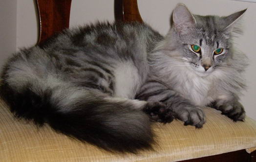 copyright: Tim & Janine