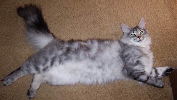 copyright: Tim & Janine