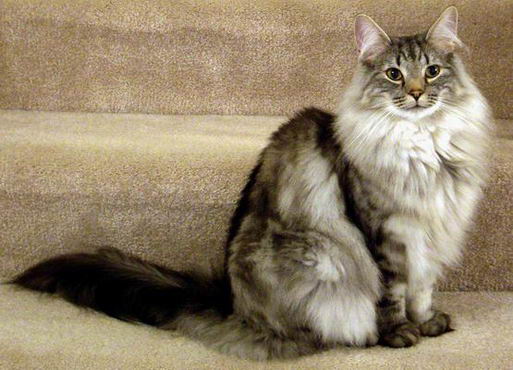 copyright: Tim & Janine