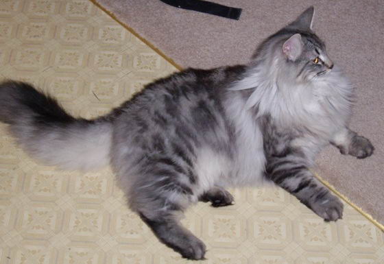 copyright: Tim & Janine