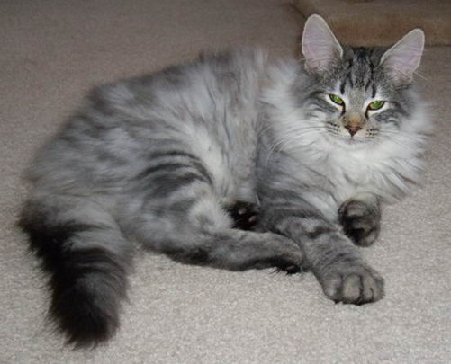 copyright: Tim & Janine