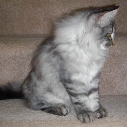 copyright: Tim & Janine