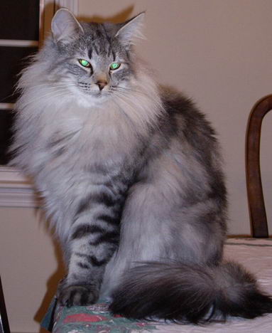 copyright: Tim & Janine