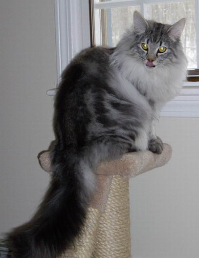 copyright: Tim & Janine