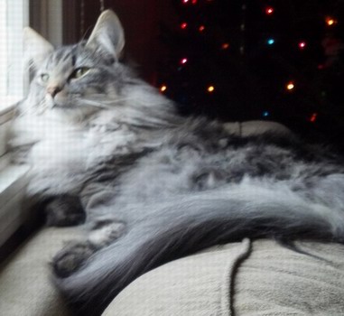 copyright: Tim & Janine