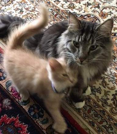 copyright: Isabelle & Bjrn