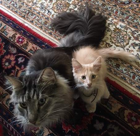 copyright: Isabelle & Bjrn