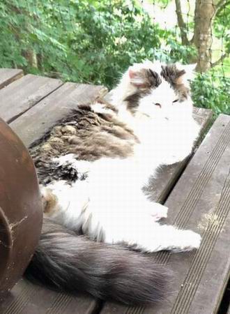 copyright: Silvia Reiser