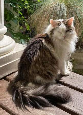 copyright: Silvia Reiser