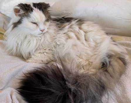 copyright: Silvia Reiser