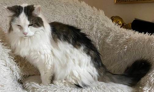 copyright: Silvia Reiser