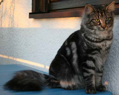 copyright: Fam. Kern