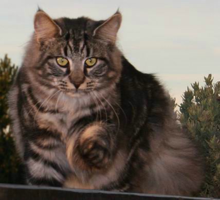 copyright: Fam. Kern