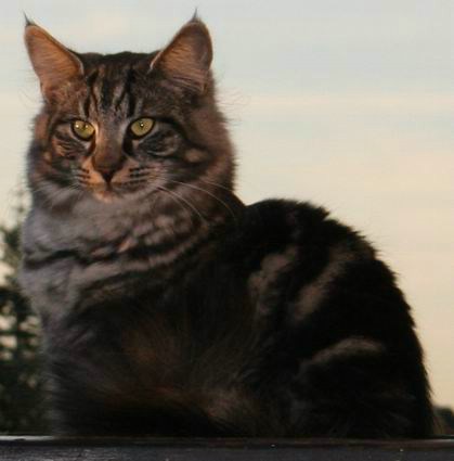 copyright: Fam. Kern