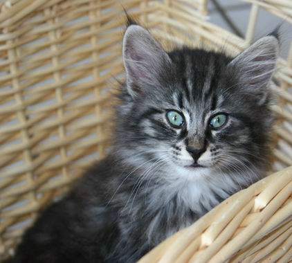 copyright: Fam. Kern