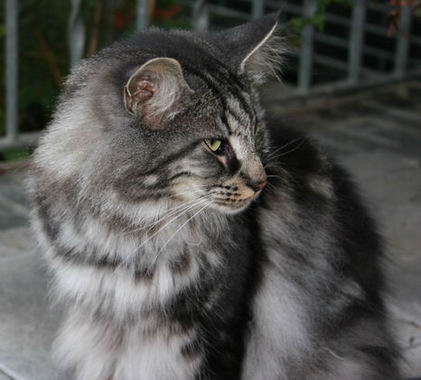 copyright: Michael & Heidi