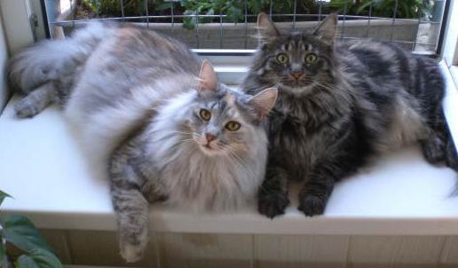 copyright: Fam. Lippitz