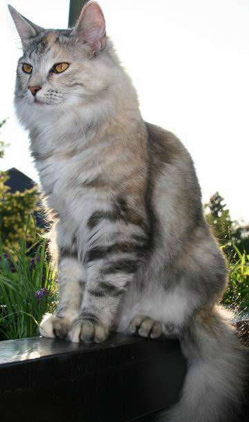 copyright: Fam. Kern