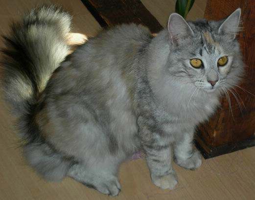 copyright: Familie Lippitz