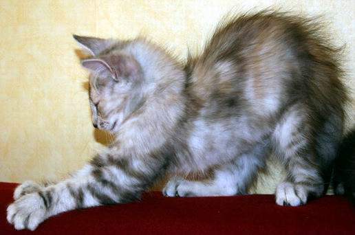 copyright: Fam. Kern