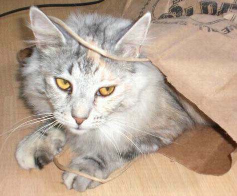 copyright: Familie Lippitz