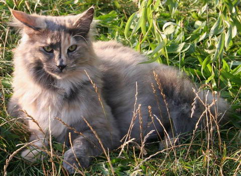 copyright: Michael & Heidi