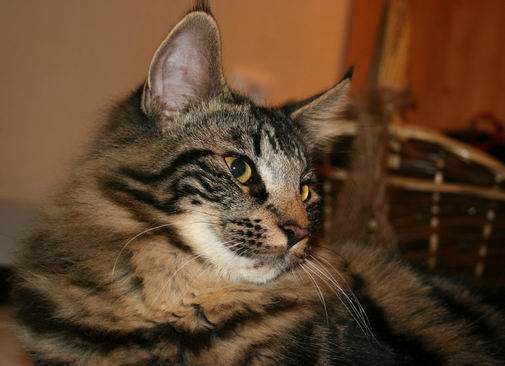 copyright: Fam. Kern