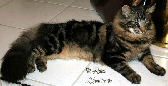 copyright: Fam. Kern