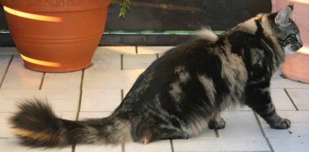 copyright: Fam. Kern