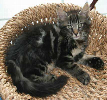 copyright: Fam. Kern