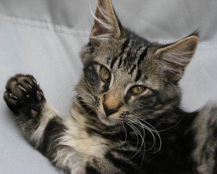 copyright: Fam. Kern