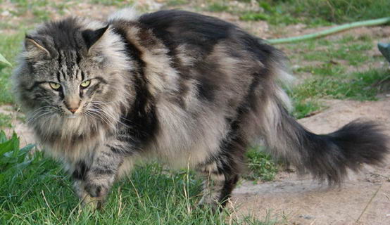 copyright: Michael & Heidi