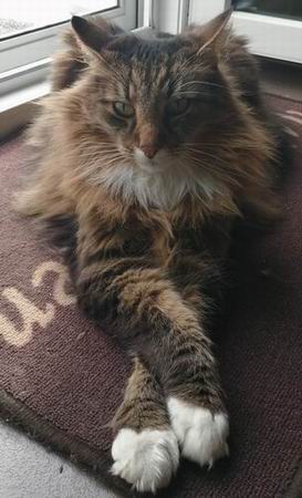 copyright: Wilma & Michael